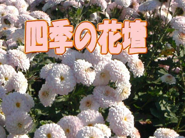 Ԓd̎ʐ^